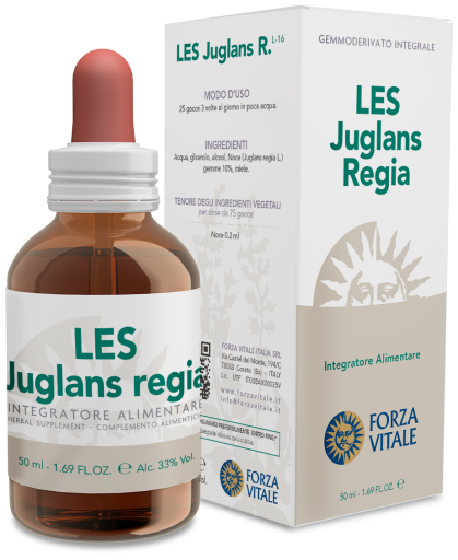 Juglans Regia Persian Walnut 50 ml