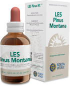 Mountain Pine 50 ml