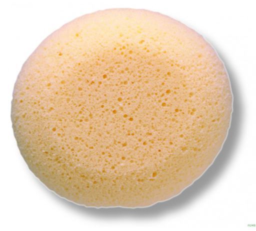 Hydrophilic sponge + 0M