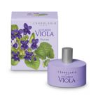 Viola Accord Perfume