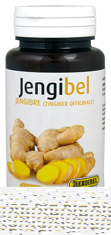 Jengibel 100 Capsules