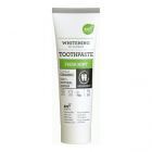 Fresh Mint Toothpaste 75 ml