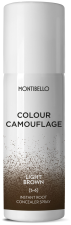 Color Camouflage Corrector Spray 50 ml