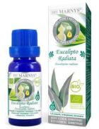 Eucalyptus Radiata Essential Oil Quimiot 10 ml