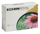 Echin Royal 20 Ampoules