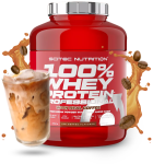 100% Whey Protein Professional 30 gr